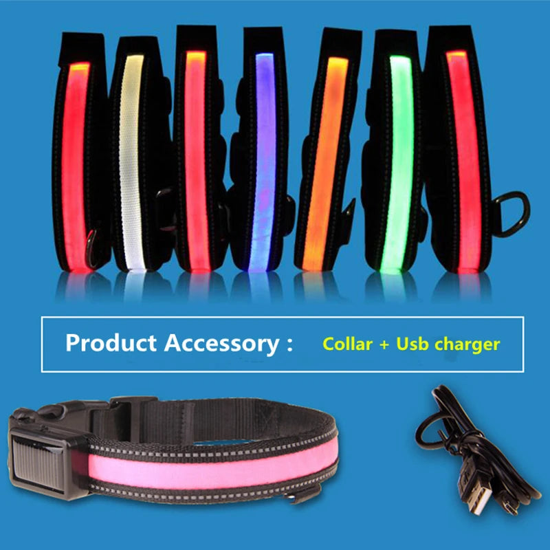 Solar Charging Led Dog Collar USB Rechargeable Night Safety Collar Perro Led Usb Adjustable Pet Led Dog Collar Light Usb Glowing