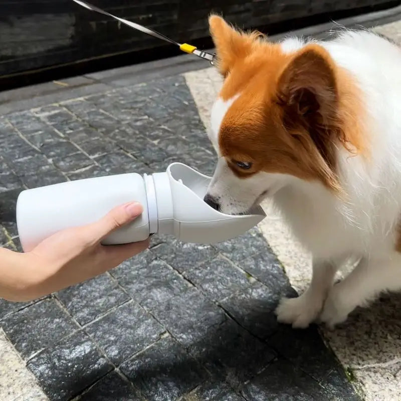 550ml Folding Pet Outdoor Walking Mug Portable Travel Water Bottle Puppy Cats Dogs Drinking Water Dispenser Cup Supplies
