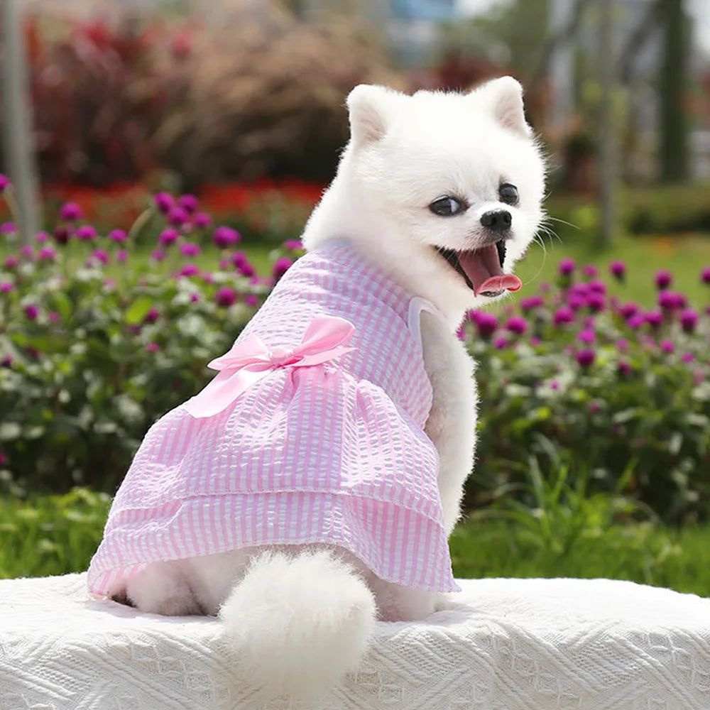 Pet Dog Clothes Puppy Vest T-shirt Shirt Cute Spring Pet Skirt Dress Roupas para cães Bottoming Shirt Dog Costume Puppy Clothes