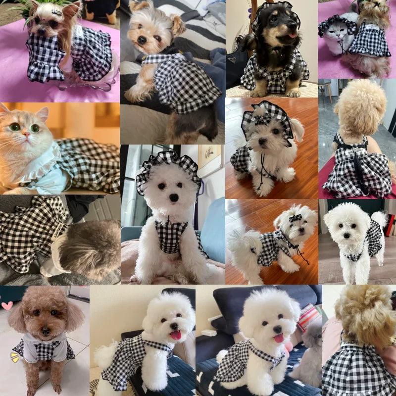 Dog Clothes Summer Cute Pet Plaid Striped Suspender Skirt Hat Vest Set Small Dog Dress Chihuahua Bichon Yorkie Dog Costume 2024